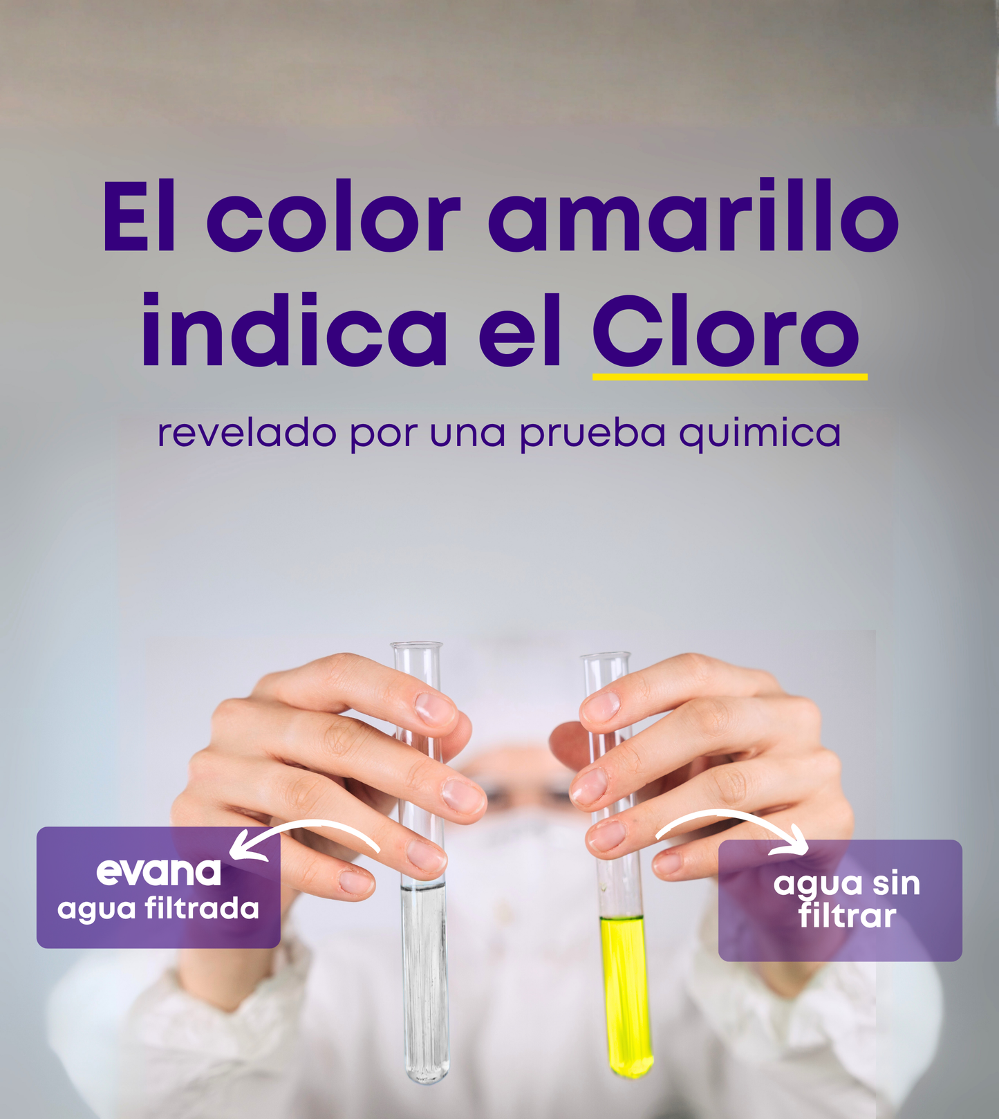 Regadera Evana con Filtro