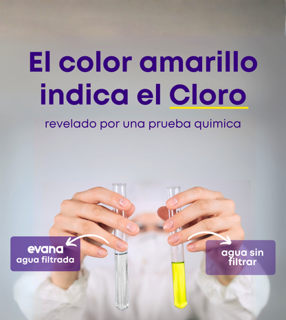 Regadera Evana con Filtro