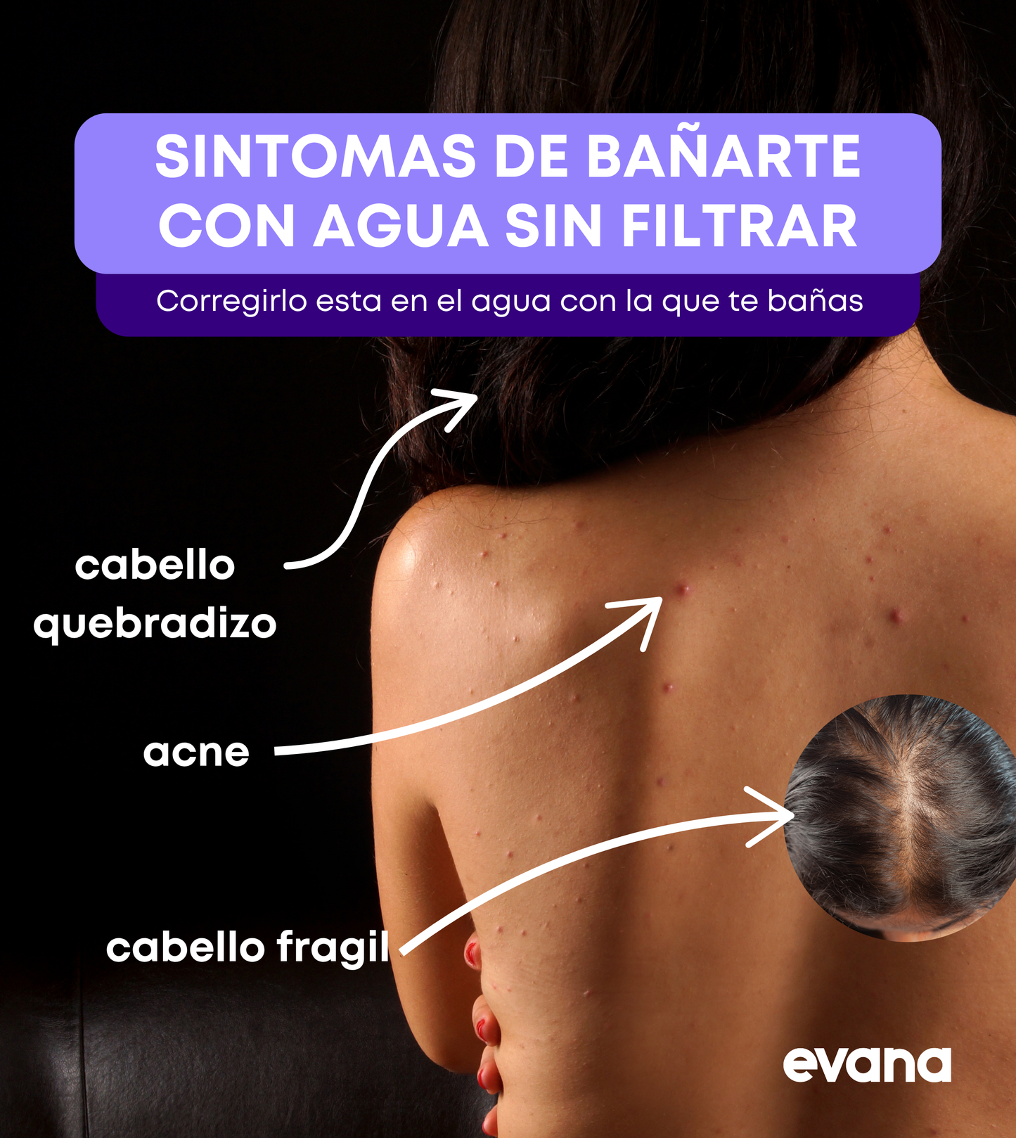 Regadera Evana con Filtro