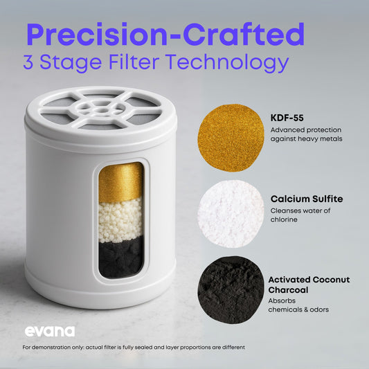 Evana 90 DAY Shower Head Filter Replacement