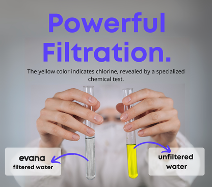 MOLECULE Filtered Shower Head