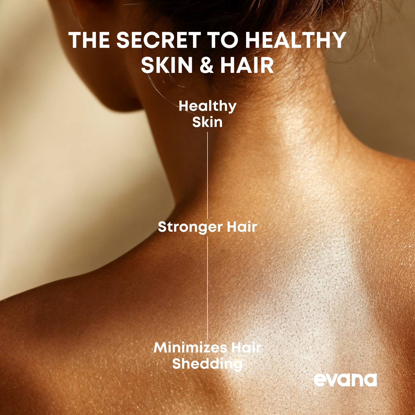 Evana Filtered Shower Head
