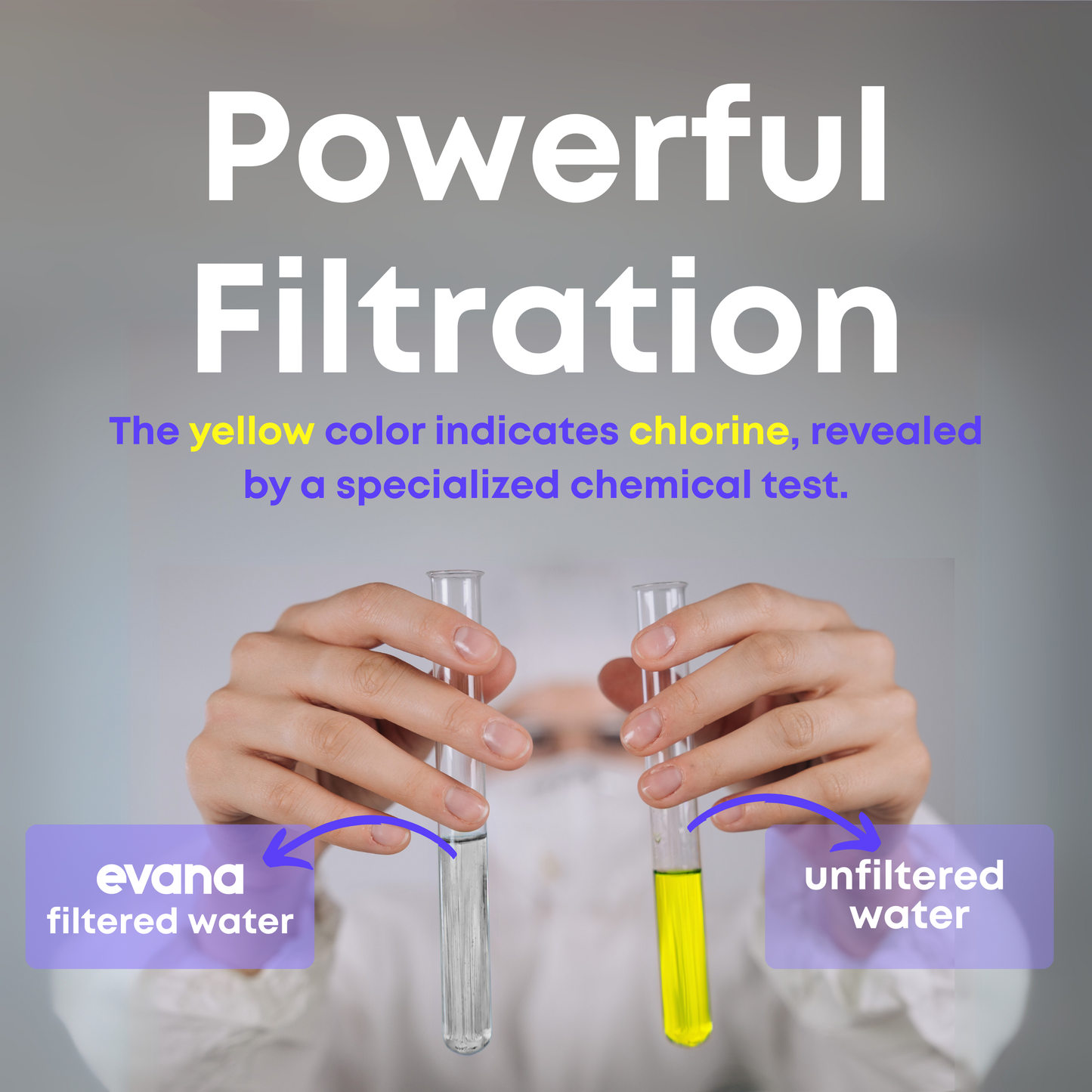 Evana Filtered Shower Head