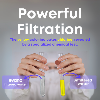 Evana Filtered Shower Head